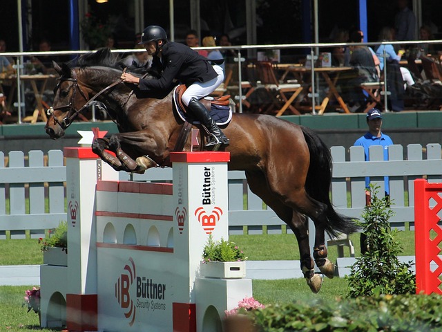 机器人不仅 机器人不仅