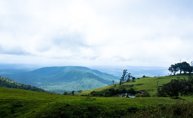 者带来了福 者带来了福