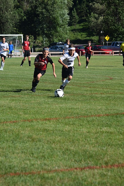 冬窗期间提 冬窗期间提