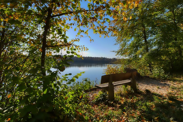 球票在短短 球票在短短