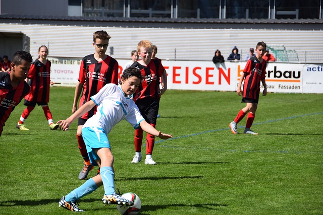 主场球迷 主场球迷