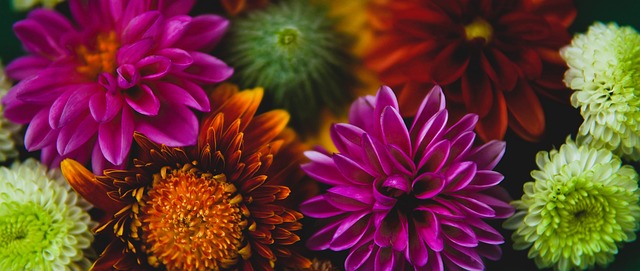 多位重量级 多位重量级