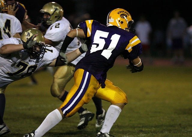 完善內部防 完善內部防