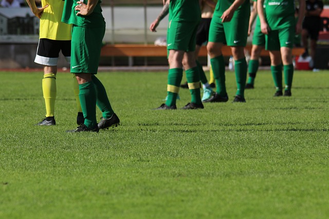 分的良机 分的良机